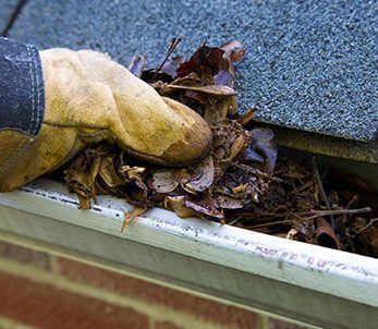 Gutter cleaning